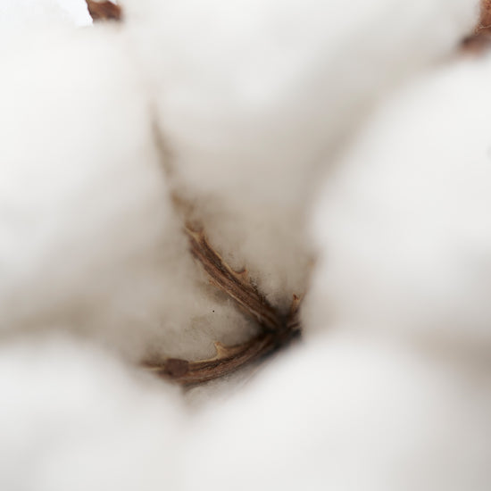 Addct Solid Perfume Naked Musk 103 (30g) SCENT MOOD