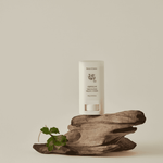 BEAUTY OF JOSEON Matte Sun Stick:  Mugwort+Camelia SPF 50+ PA++++(18g) viral sunstick