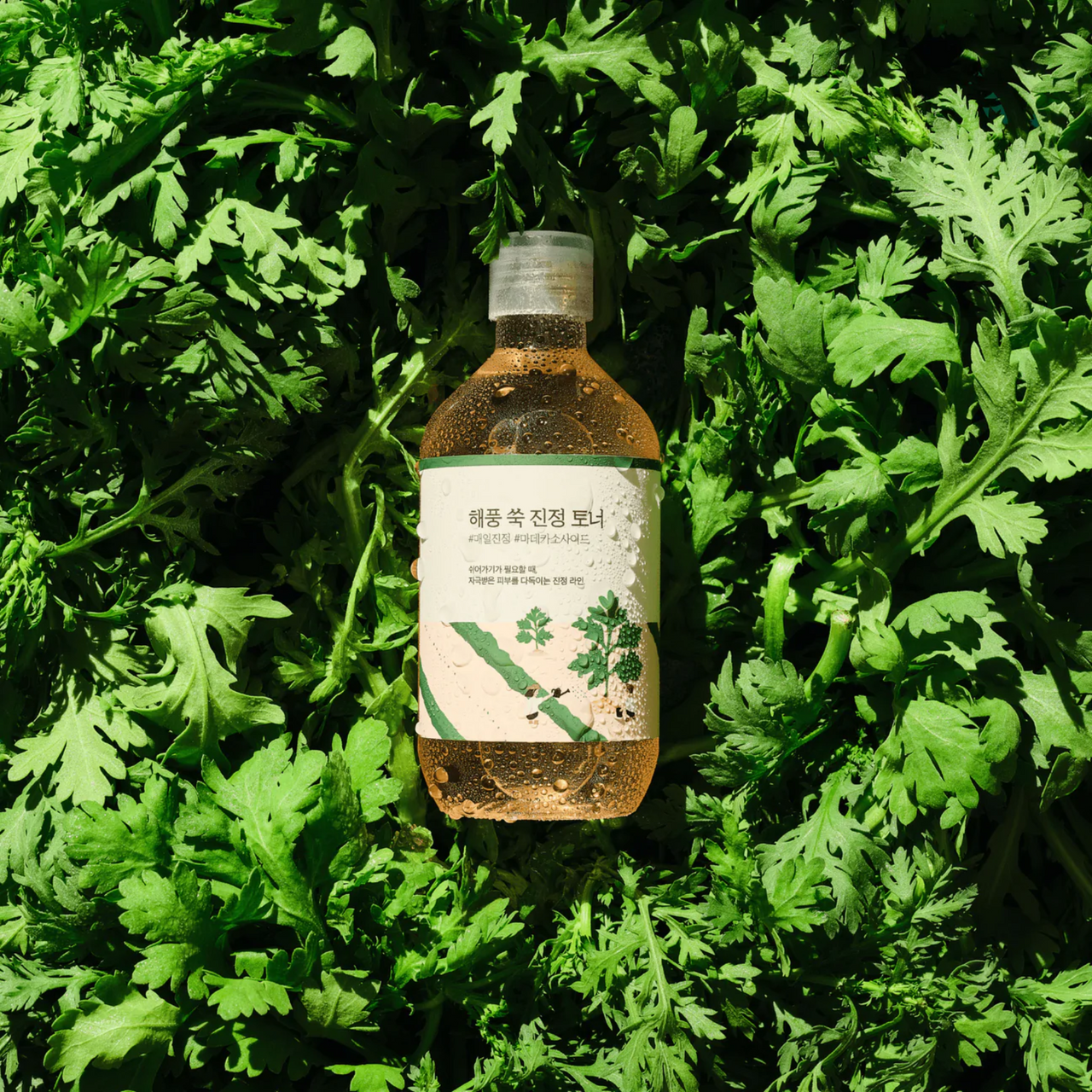 Mugwort Calming Toner (300ml) – Skin Cupid Mugwort Calming Toner (300ml) – Skin Cupid
