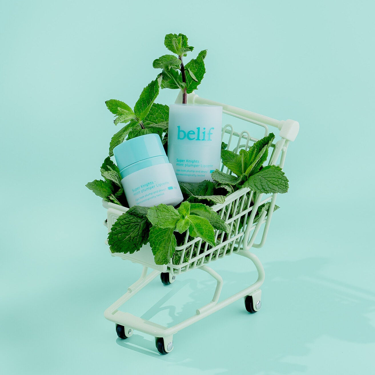 BELIF Super Knights - Mint Plumper Lipcerin (15ml) – Skin Cupid