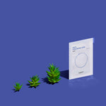 Beplain Hyaluronic Acid Mask (1pc or 5pcs) INGREDIENTS