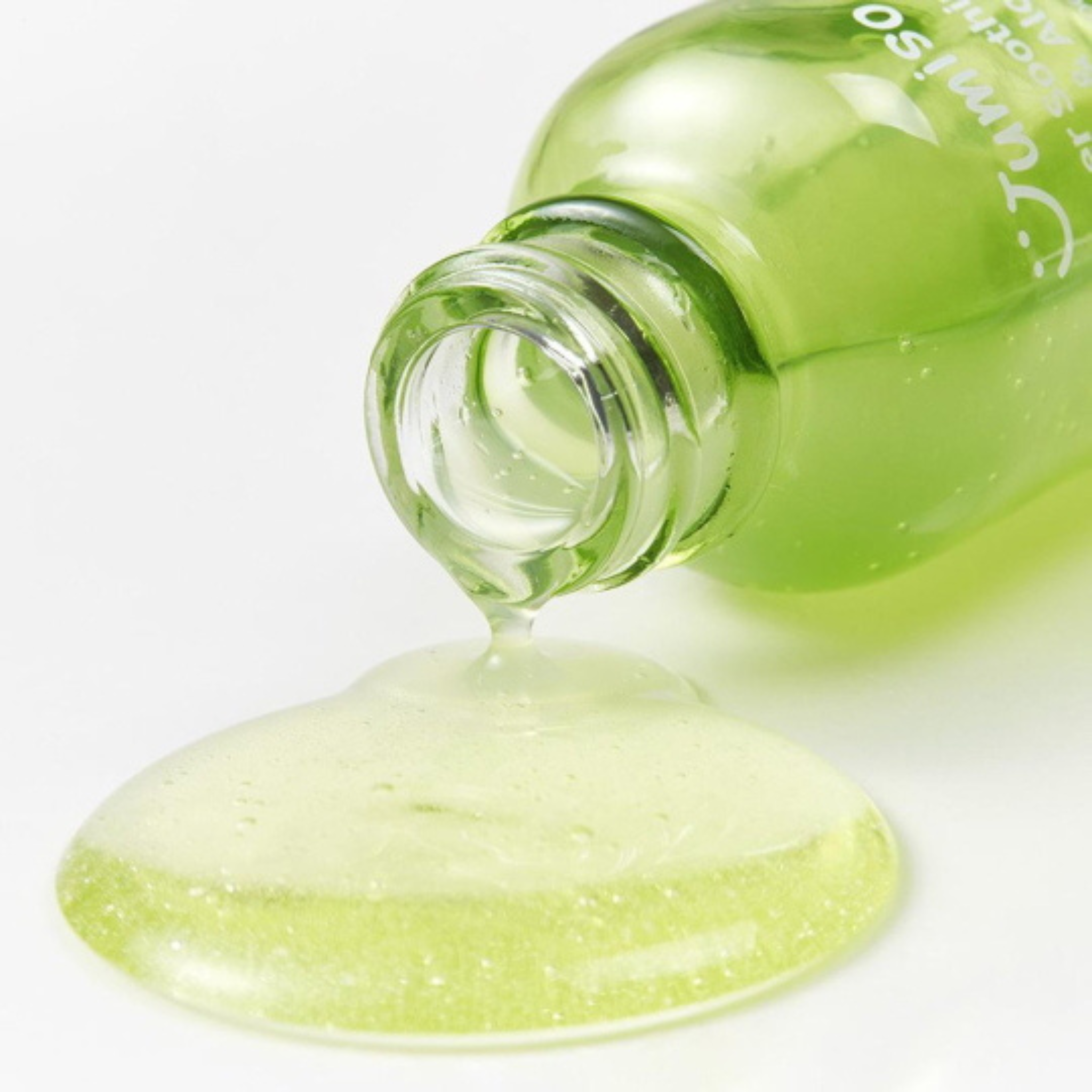 wie groß wird eine aloe vera Aloe vera (Echte Aloe) kaufen